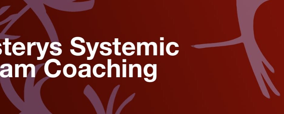 Asterys Systemic Team Coaching 1º livello