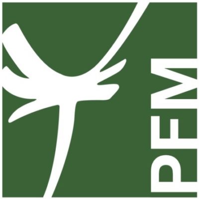 Logo del gruppo PFM 201